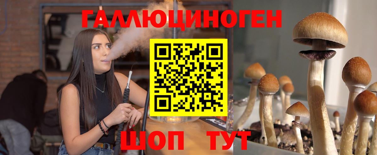 Псилоцибиновые грибы Psilocybine cubensis  купить   Горячий Ключ  Галлюциногенные грибы мухоморы  Вход с VPN 